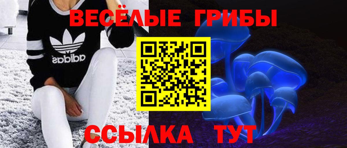 Галлюциногенные грибы MAGIC MUSHROOMS  Вход с VPN  Лабинск 